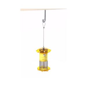 BC NYJER SEED FOREVER FDR 1#