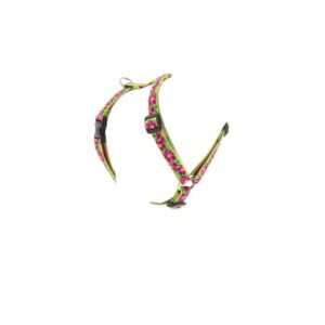 3/4in Petunias 14-24 Roman Hrns