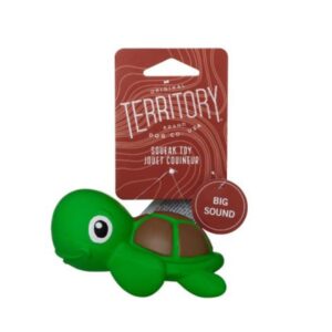 TERR TURTLE LATEX TOY