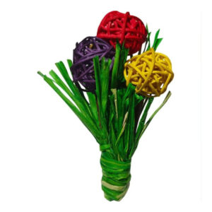 NIBBLES CHEWY BLOOMS TOY