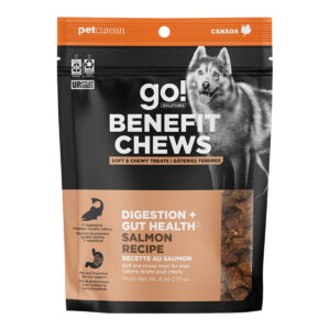 GO! D BENE CHEW D&G SALMON 6OZ