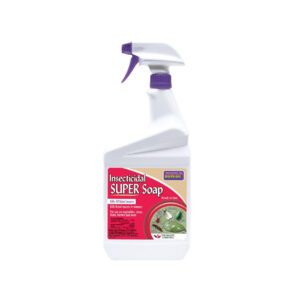 INSECTICIDAL SUPER SOAP RTU 1QT