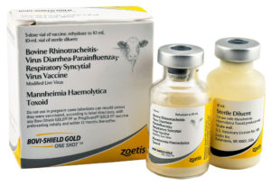 BOVI SHIELD GOLD ONE SHOT 5DS