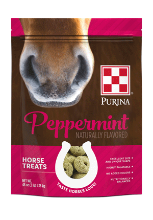 PURINA PEPPERMINT HORSE TREAT 3#