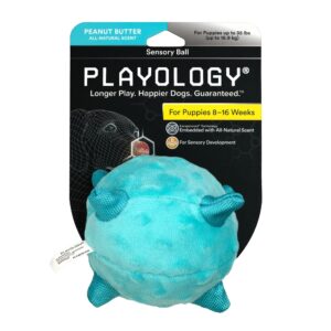 PLAYOL SENSORY BALL PB PUPPY SM