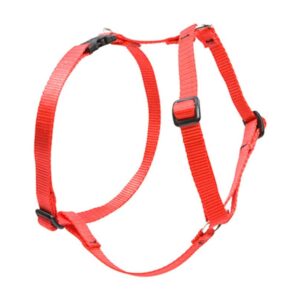 3/4in Red 14-24 Roman Hrns