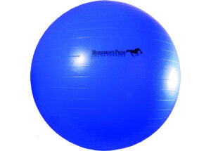 JOLLY MEGA BALL BLUE 30IN