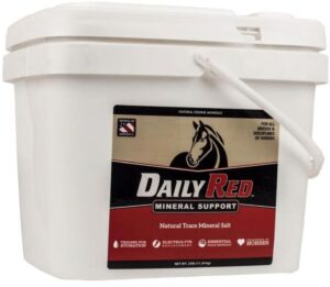 REDMOND CRUSHED EQUINE MIN 25#