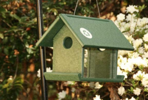 RECYCLED MEALWORM FDR GREEN