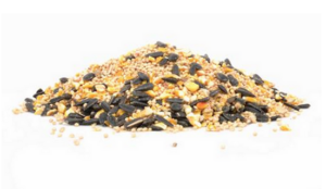 LM BACKYARD BASIC / GFP 20LB