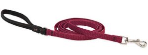 1/2in Berry 4ft Leash