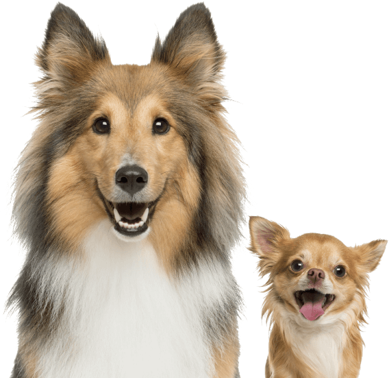 NOTHIN TO HIDE SPIRALS BEEF 3PK