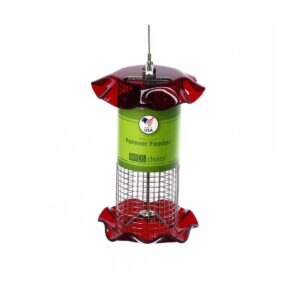 BC SUNFLOWER SEED FOREVER FDR 1#