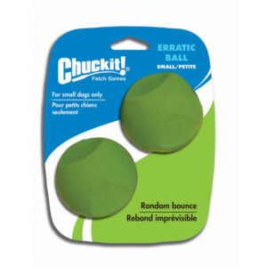 CHUCKIT ERRATIC BALL MD 2PK