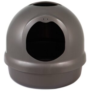 PM DOME TITANIUM LTR PAN