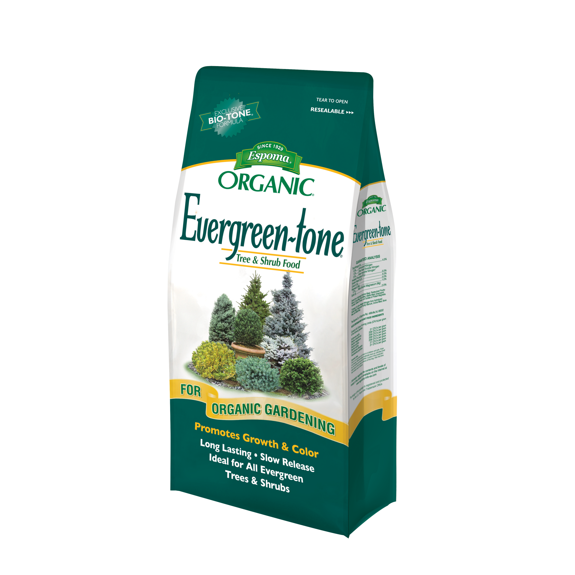 EVERGREEN-TONE 18LB