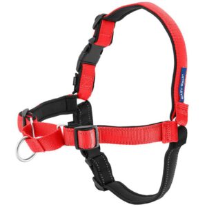 EASY WALK HARNESS DELUXE SM RED