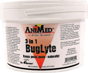 3-IN-1 BUGLYTE HORSE