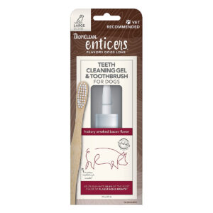 ENTICER TOOTHPASTE/BRUSH BACON L