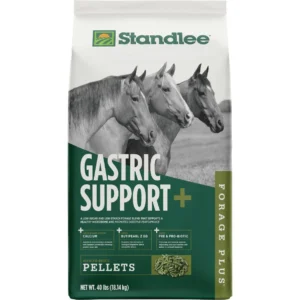 STANDLEE GASTRIC SUPPORT PEL 40#