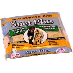 SUET PLUS MEALWORM/NUT 11OZ