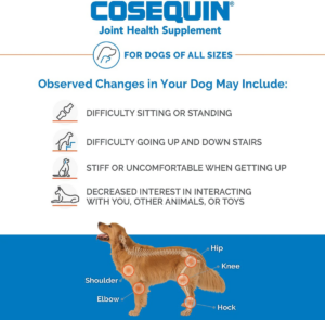 COSEQUIN DOG SEN MAX STNGTH 60CT