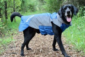 BAYDOG GLACIER COAT XL