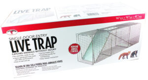 SINGLE DR LIVE TRAP 42X16X16