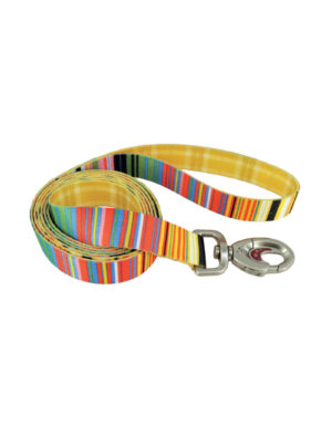 COASTAL SUBLIME LEASH 6'