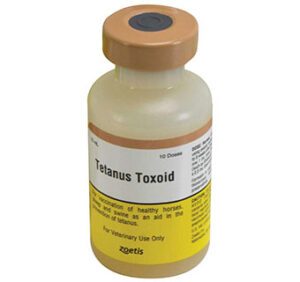 TETANUS TOXOID 10ML/DS