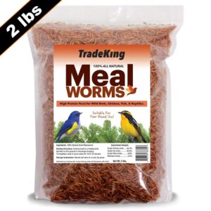 TRADEKING DRIED MEALWORMS 1#