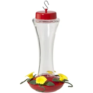 AUDUBON HUMM FDR RED GLASS 16OZ