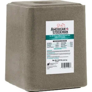 SELENIUM TRACE MIN BLK