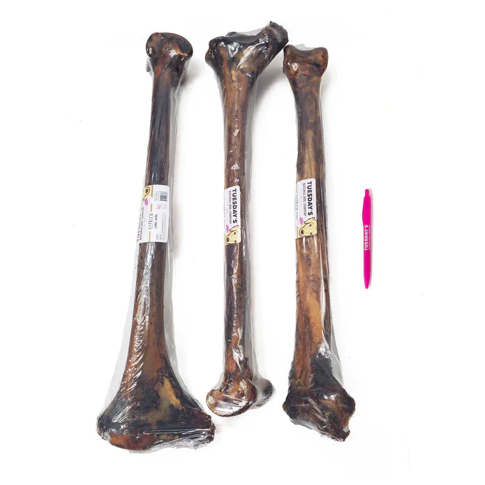 OSTRICH LONG BONE