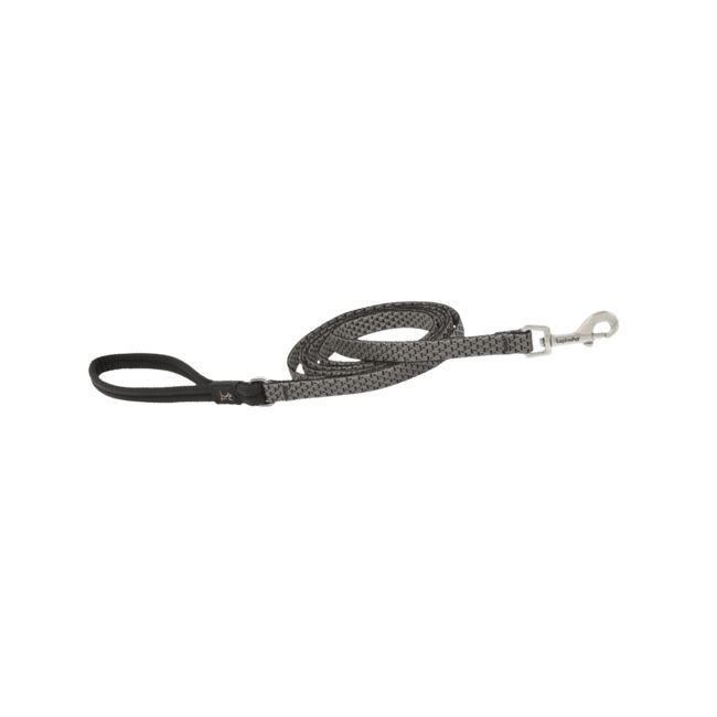 1/2in Granite 4ft Leash