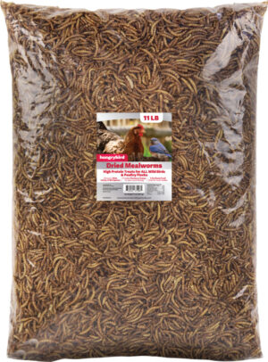 HUNGRYBIRD DRIED MEAL WORMS 300Z