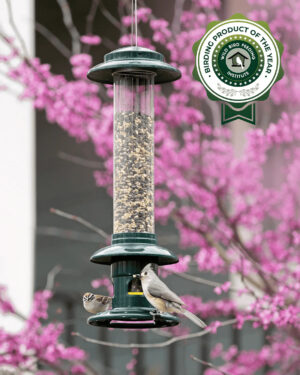 SQUIRREL BUSTER EVOLUTION FDR