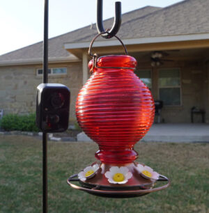 BEAKVIEW FEATHERCAM CAMERA