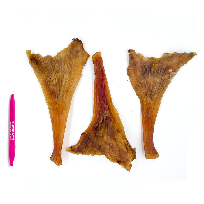 OSTRICH LONG TENDONS 4OZ