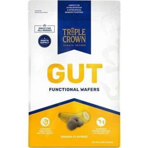TC GUT FUNCTIONAL TREAT 5LB