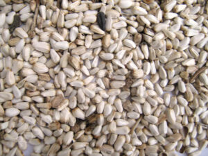 SAFFLOWER 25 LB