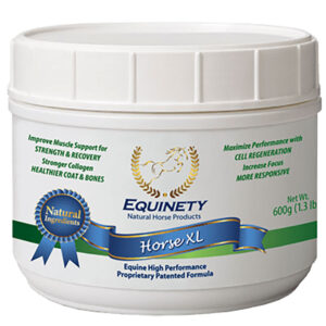 EQUINETY HORSE XL