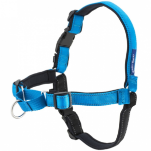 EASY WALK HARNESS DELUXE SM BLUE